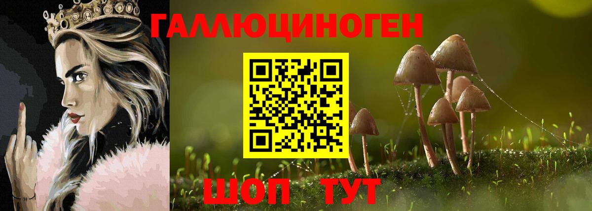 Вязьма  Псилоцибиновые грибы ЛСД  Псилоцибиновые грибы Psilocybe  Вход с VPN 